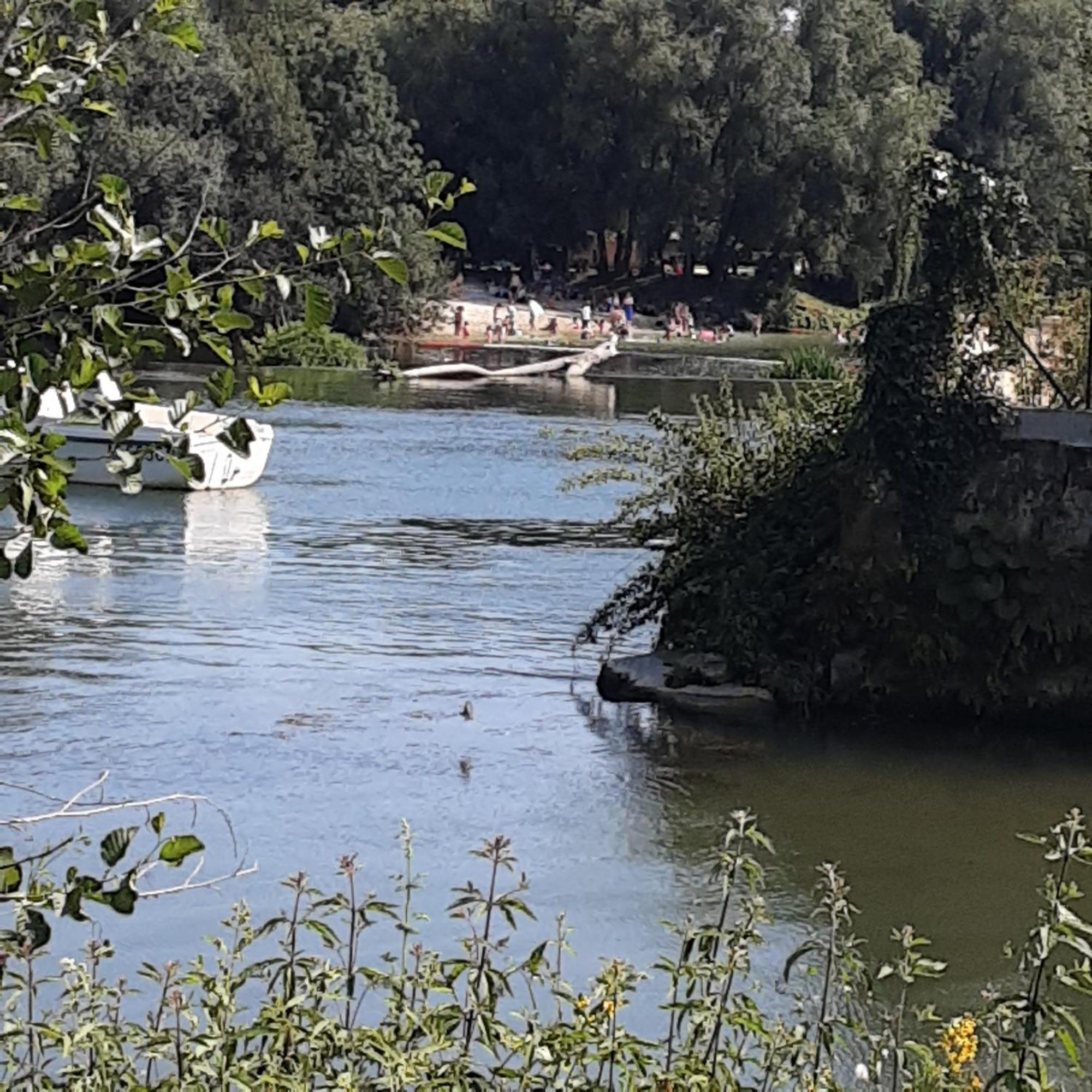 Apartamento Annexe Du Pont De La Charente Châteauneuf-sur-Charente Exterior foto